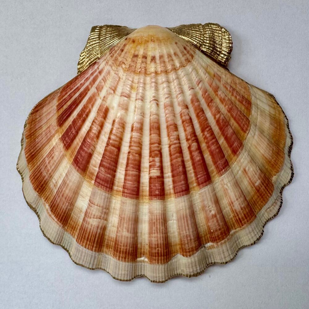 Vintage Pink Rose Floral Seashell Trinket Dish - Picture 5 of 6